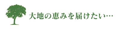 株式会社渡辺和哉商店