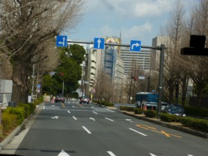 P1090246